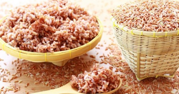 11 Makanan yang Mengandung Karbohidrat untuk Manfaat Kesehatan - Lifestyle Katadata.co.id
